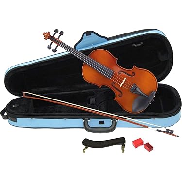 Amazon.co.jp ほしい物ランキング: バイオリン で、ほしい物リストと